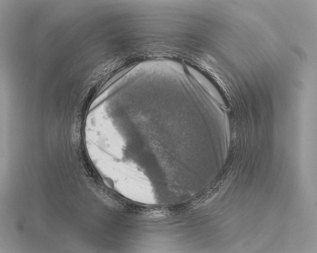 X0000115130402200912081309