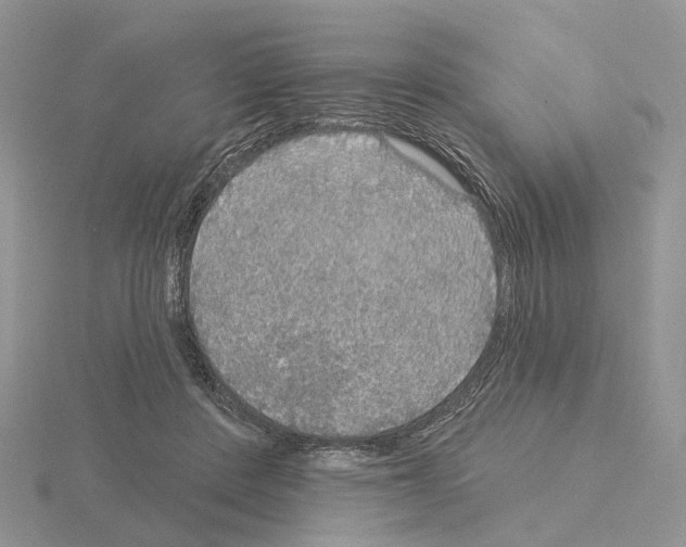 X0000115130408200912081309