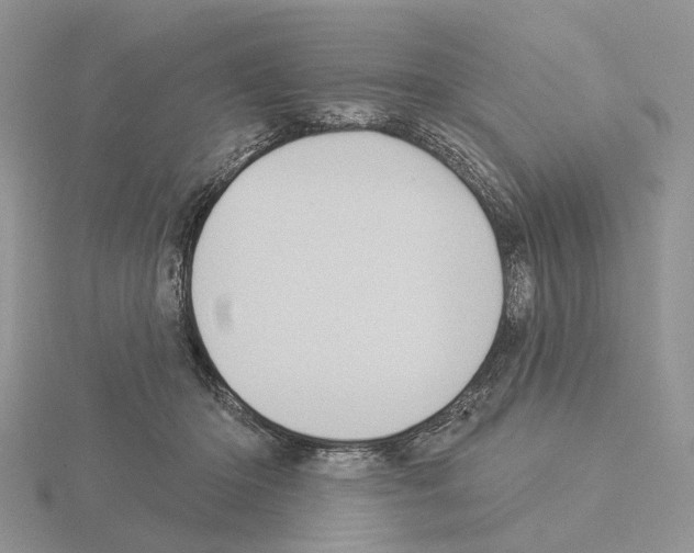 X0000115130414200912081309
