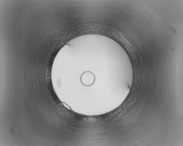 X0000115130419200912081309