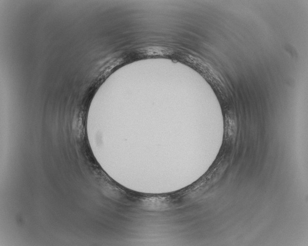 X0000115130422200912081309
