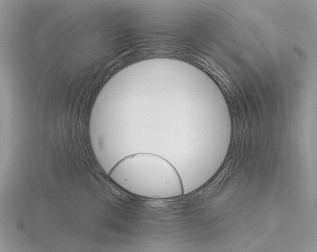 X0000115130425200912081309
