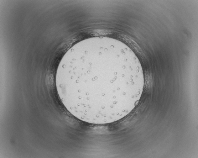 X0000115130426200912081309