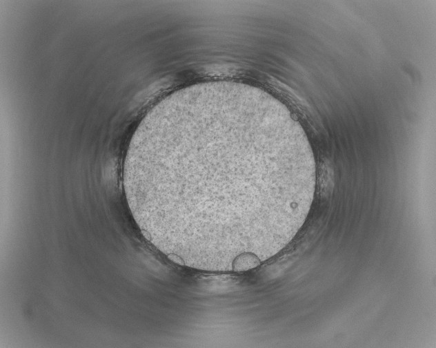 X0000115130428200912081309