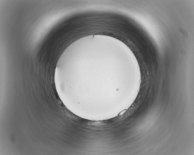 X0000115130431200912081309
