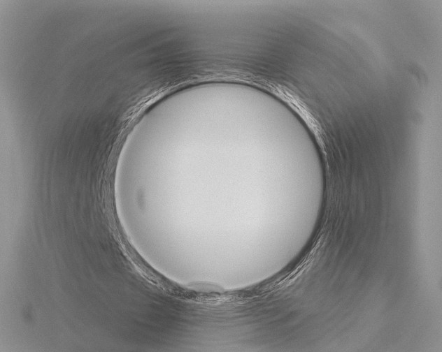 X0000115130433200912081308
