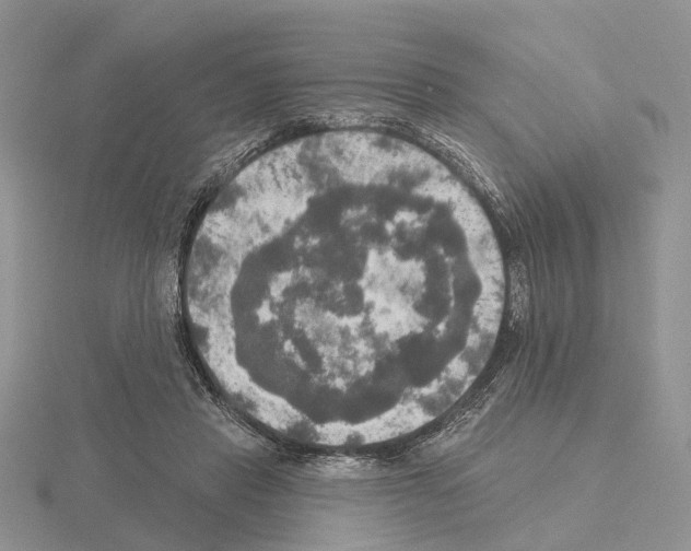 X0000115130453200912081309