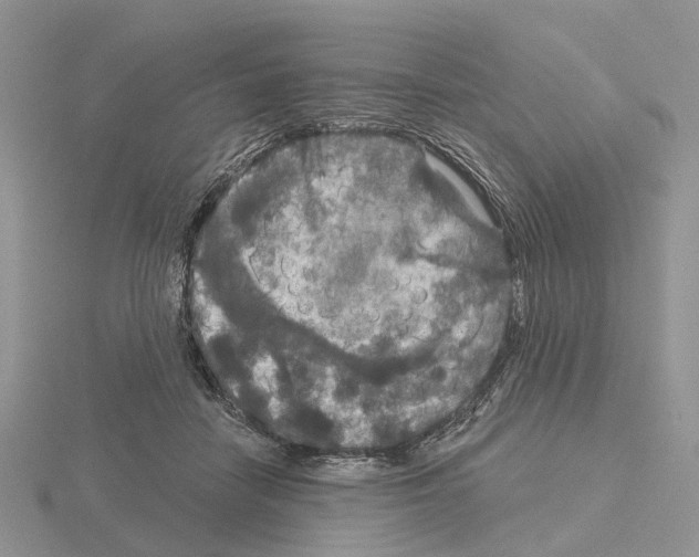 X0000115130458200912081309