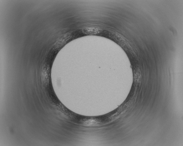 X0000115130460200912081309