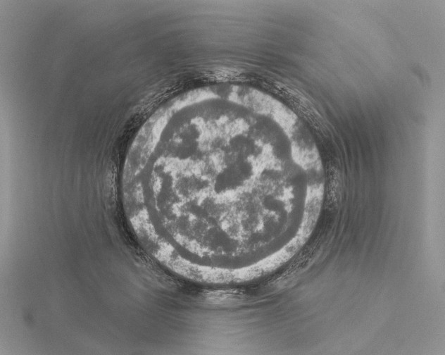 X0000115130461200912081309