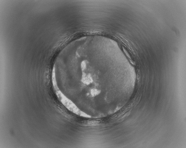 X0000115130462200912081309