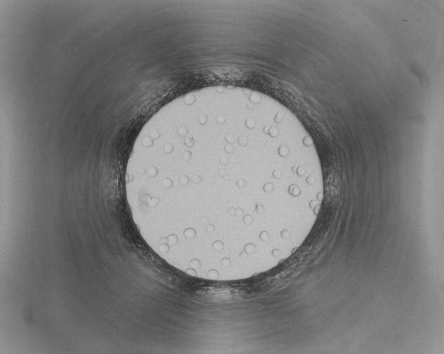 X0000115130464200912081309