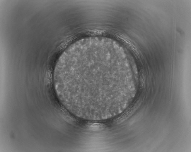 X0000115130467200912081309