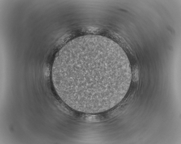 X0000115130472200912081309