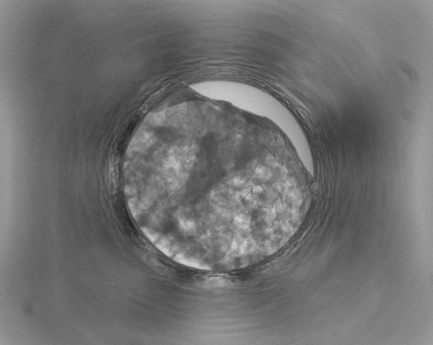 X0000115130475200912081309