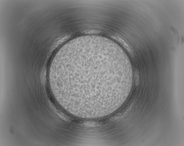X0000115130490200912081308