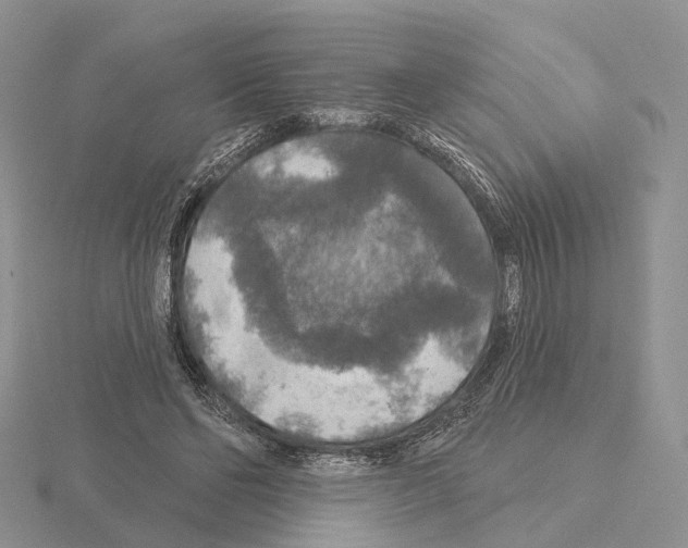 X0000115130494200912081308