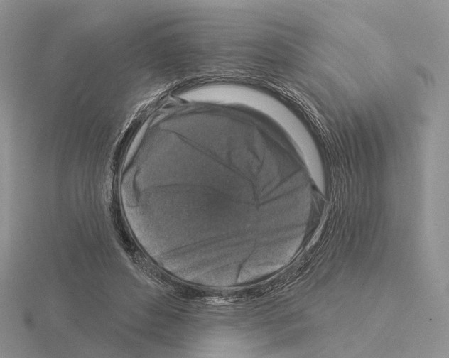 X0000115130496200912081308