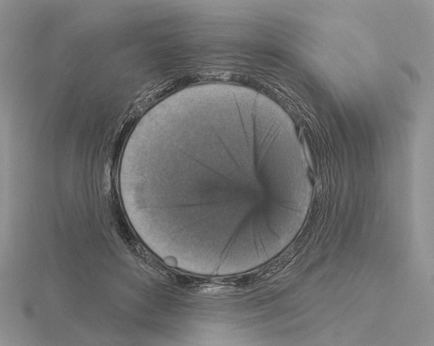 X0000115130504200912081308