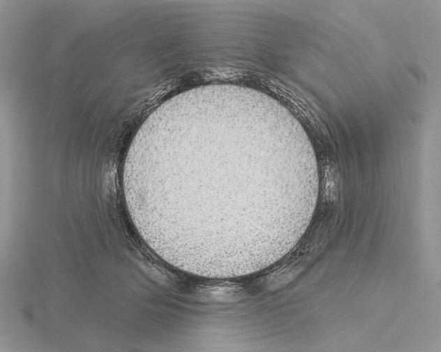X0000115130514200912081308