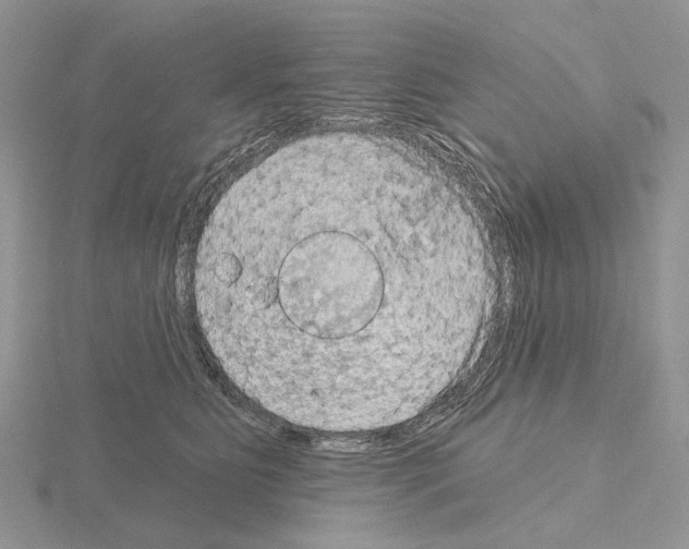 X0000115130515200912081308