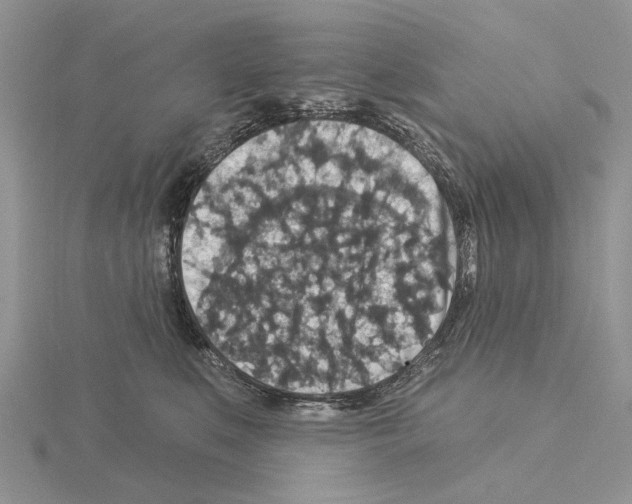 X0000115130519200912081308