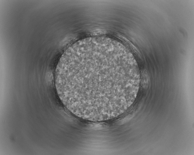 X0000115130523200912081308