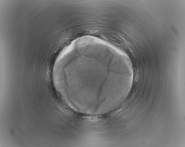 X0000115130524200912081308