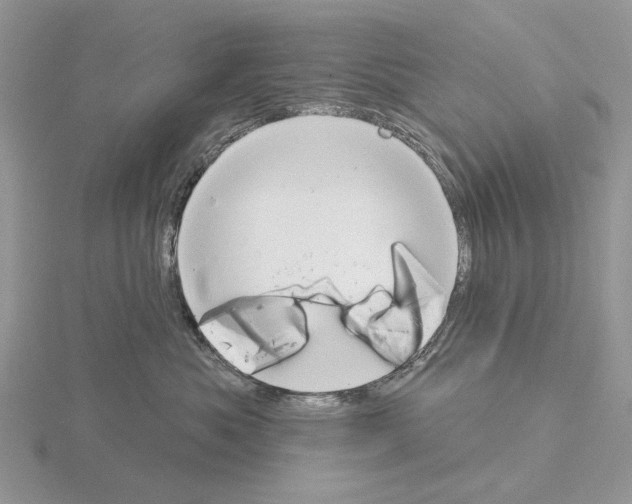 X0000115130525200912081308