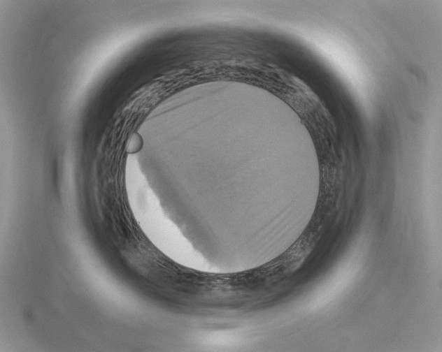 X0000115130526200912081308