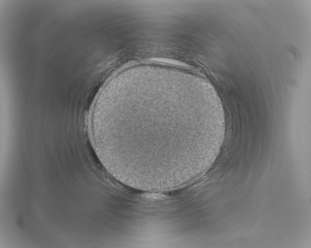 X0000115130528200912081308