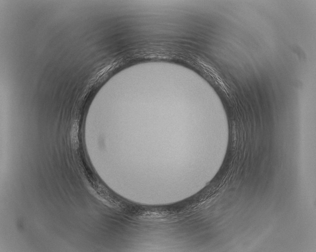 X0000115130538200912081307