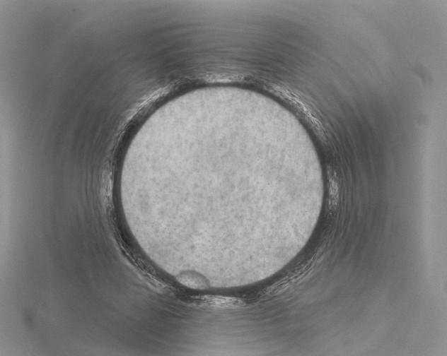 X0000115130539200912081307