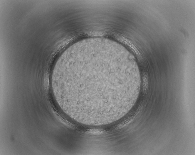 X0000115130541200912081307