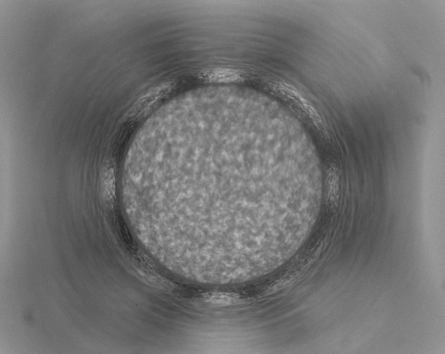 X0000115130549200912081307