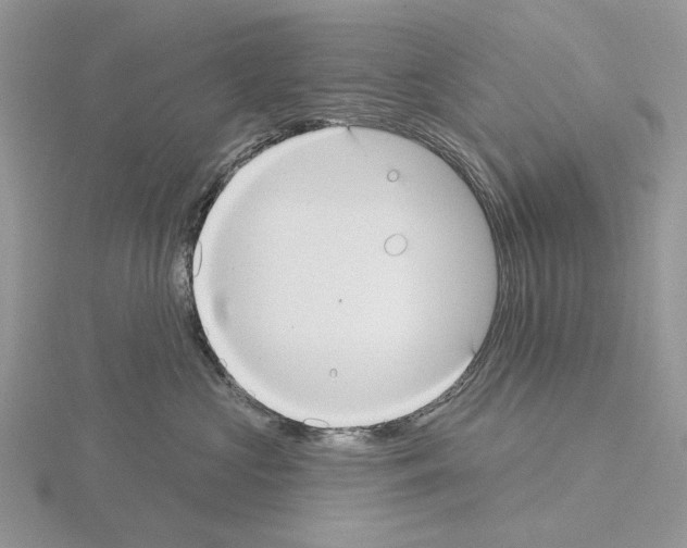 X0000115130573200912081308