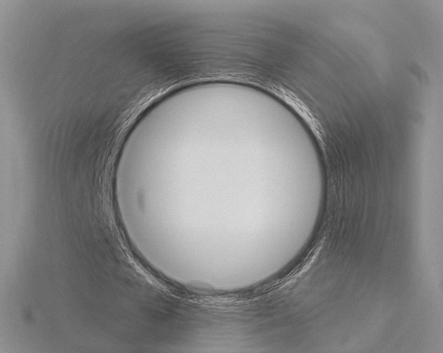 X0000115130577200912081307