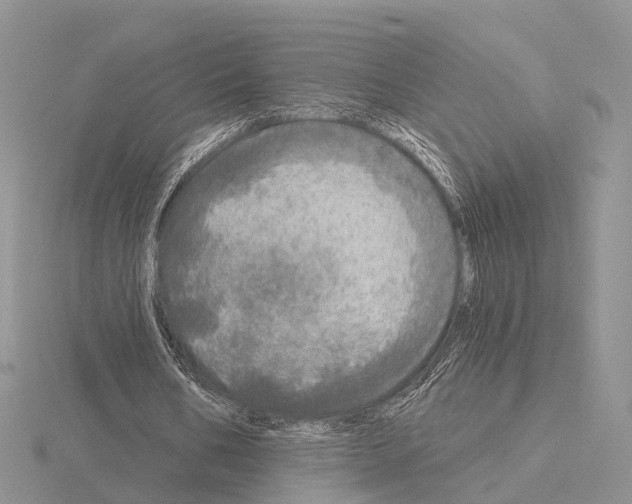 X0000115130578200912081307
