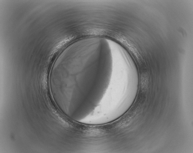 X0000115130581200912081307