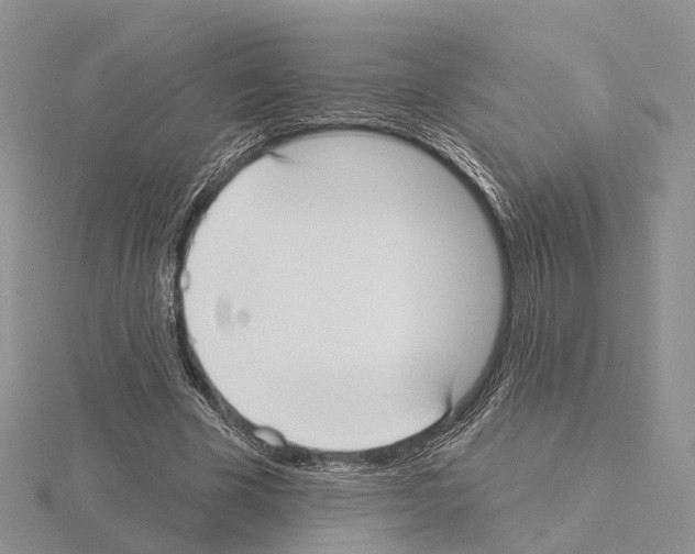 X0000115130585200912081307