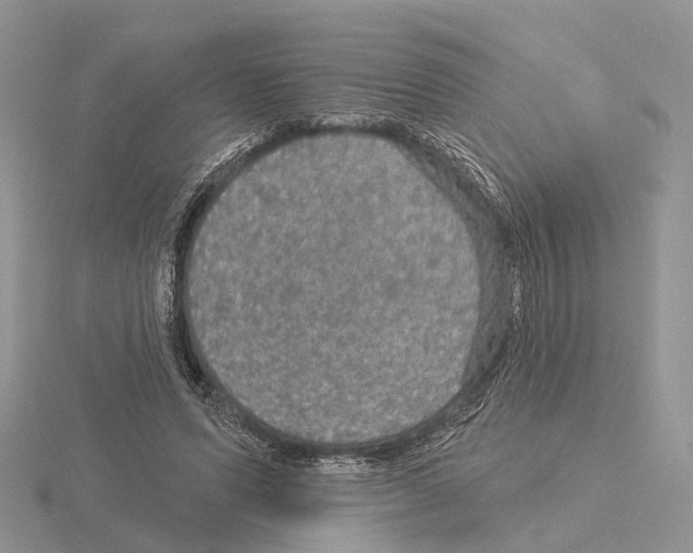 X0000115130591200912081307