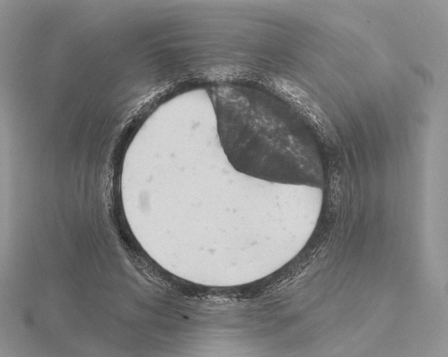 X0000115130592200912081307