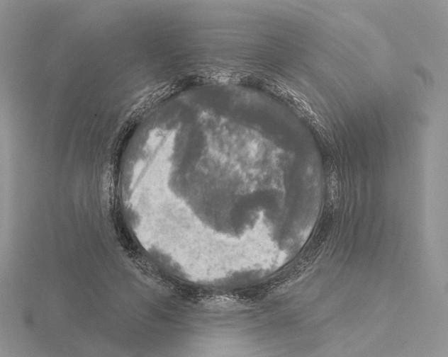 X0000115130594200912081307