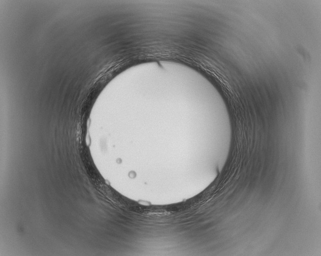 X0000115130595200912081307