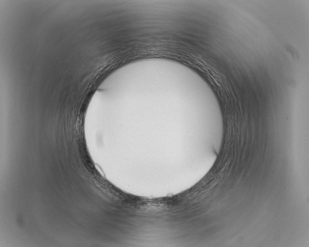 X0000115130601200912081307