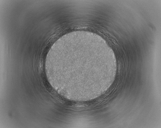 X0000115130608200912081307