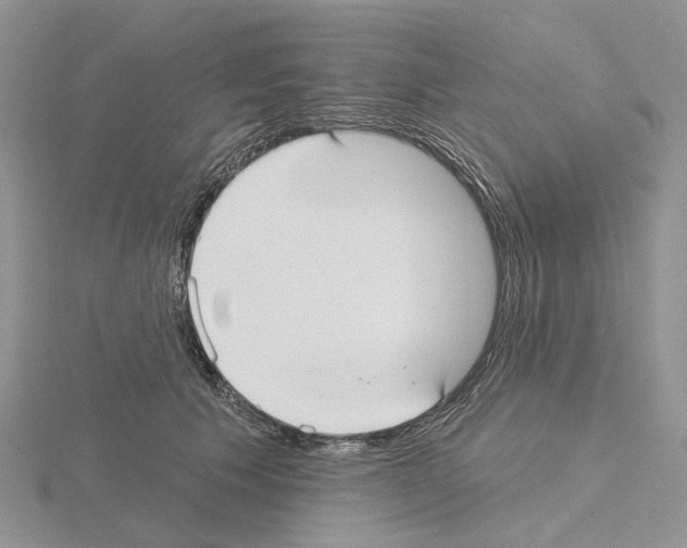 X0000115130609200912081307