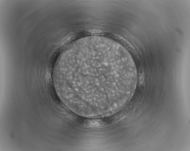 X0000115130618200912081307