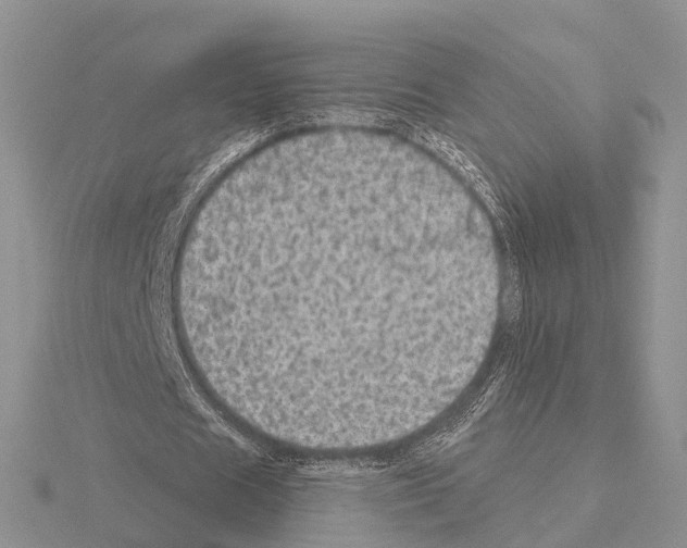 X0000115130625200912081306