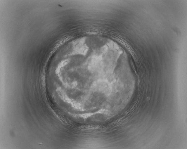 X0000115130626200912081306